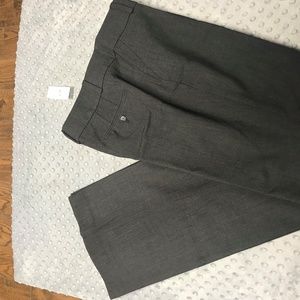 New With Tags Loft Julie Bootcut pants